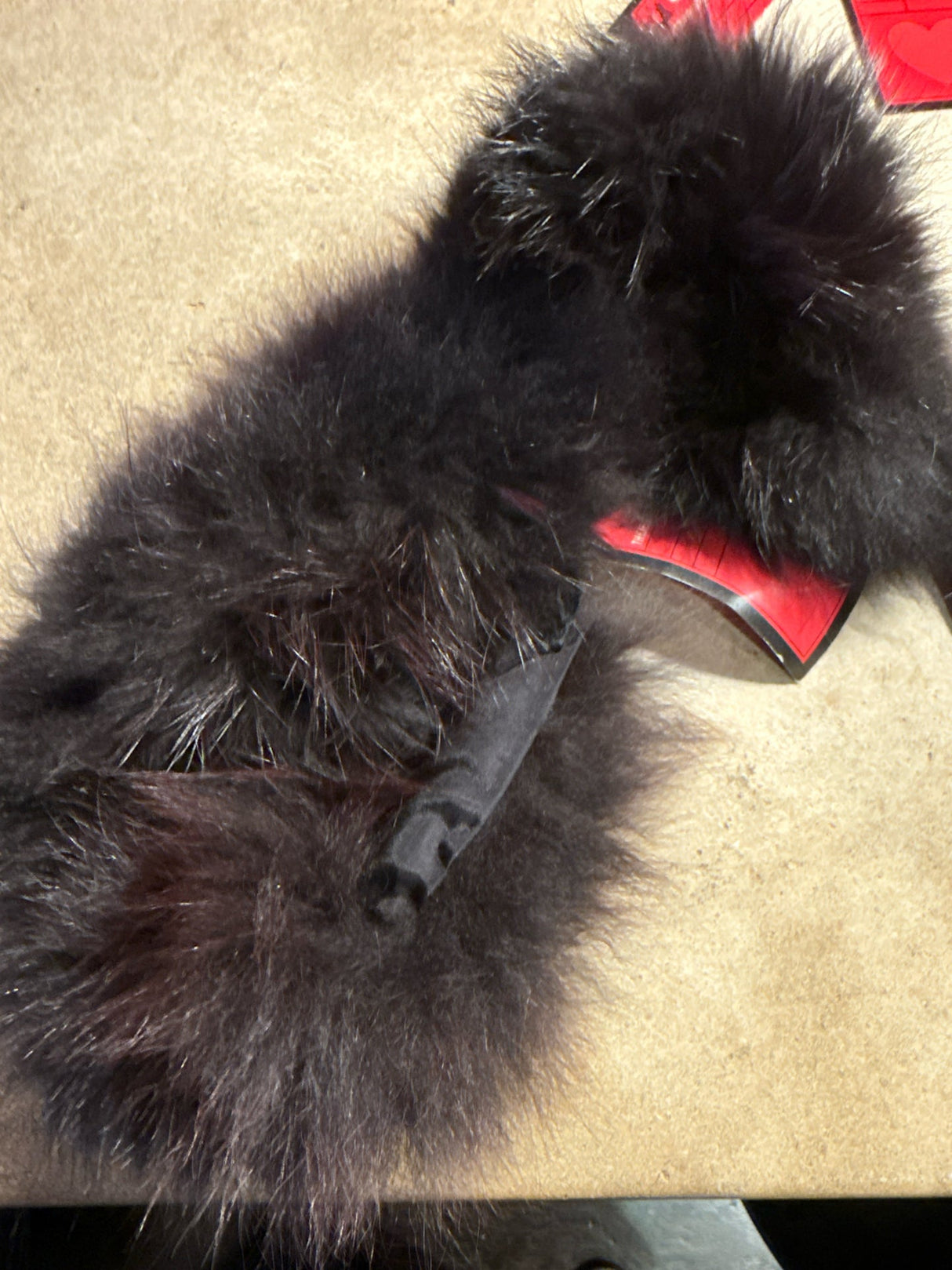 Vintage Black Fox Fur Collar