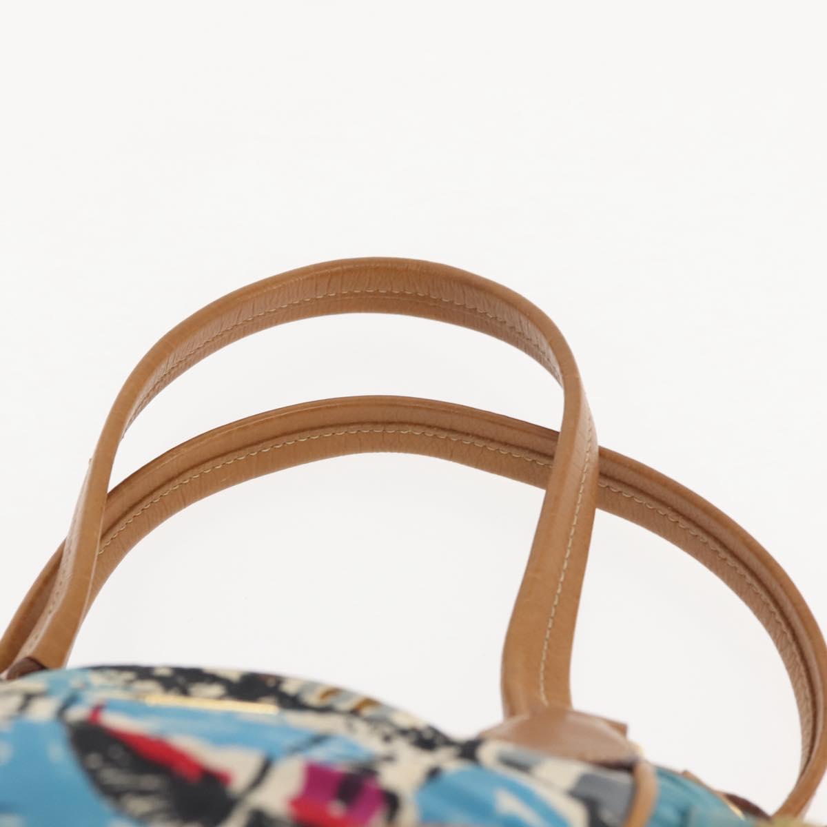 Prada Printed Canvas