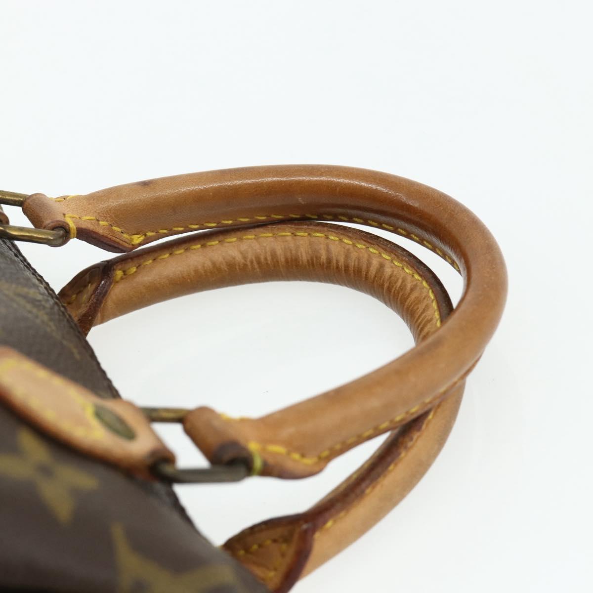 Louis Vuitton Mini Speedy