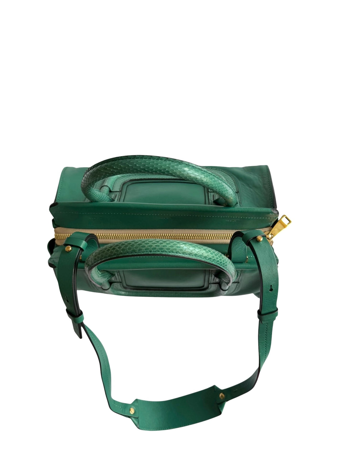 Chloé green Everston leather snakeskin trimmed bag