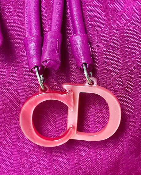 Dior Lovely Trotter Tote