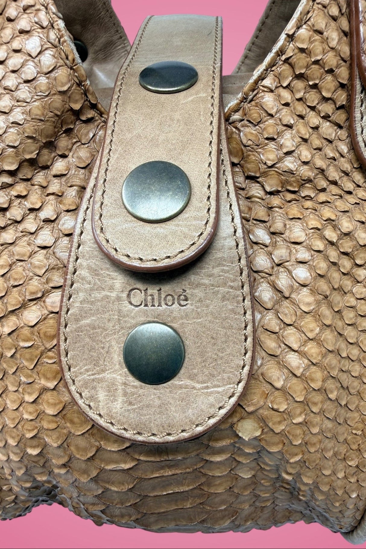 Chloe Python Silverado