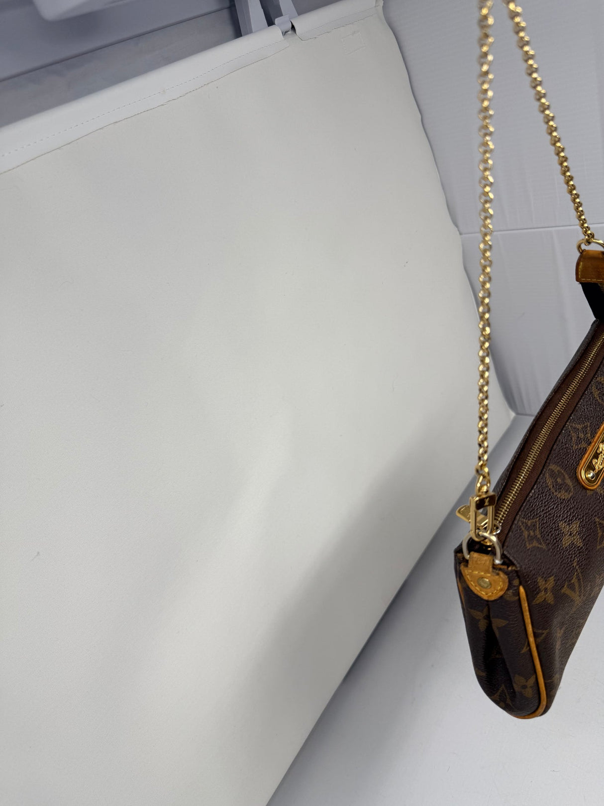 Louis Vuitton Eva Pochette
