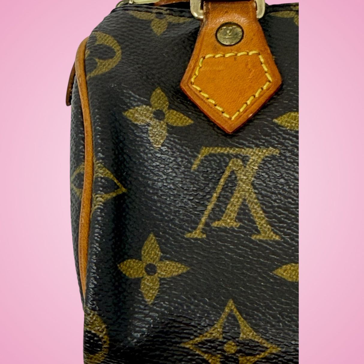 Louis Vuitton Mini Speedy