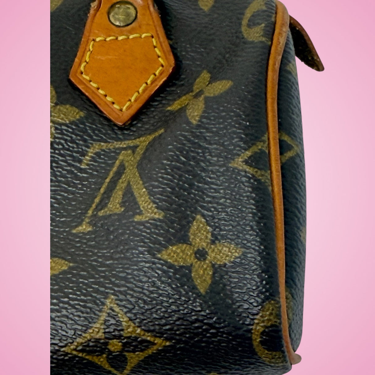 Louis Vuitton Mini Speedy
