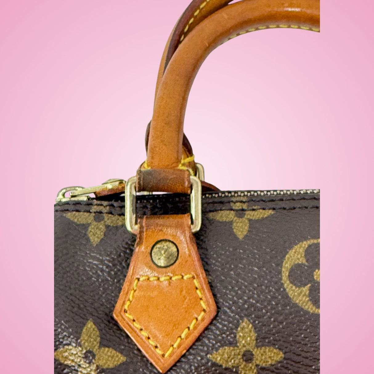 Louis Vuitton Mini Speedy