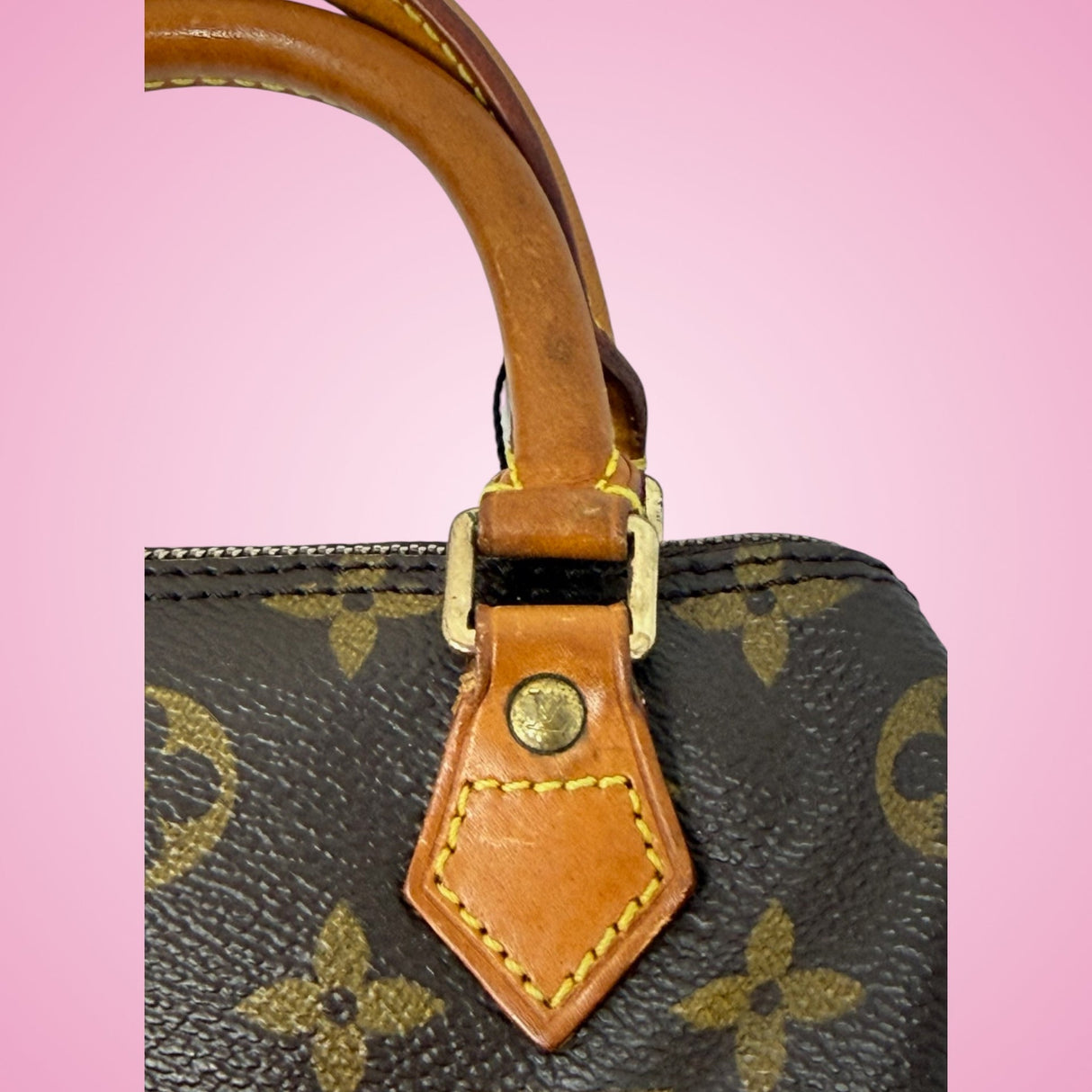 Louis Vuitton Mini Speedy
