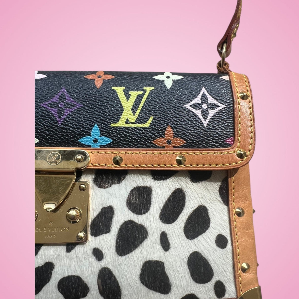Louis Vuitton Dalmation Pochette