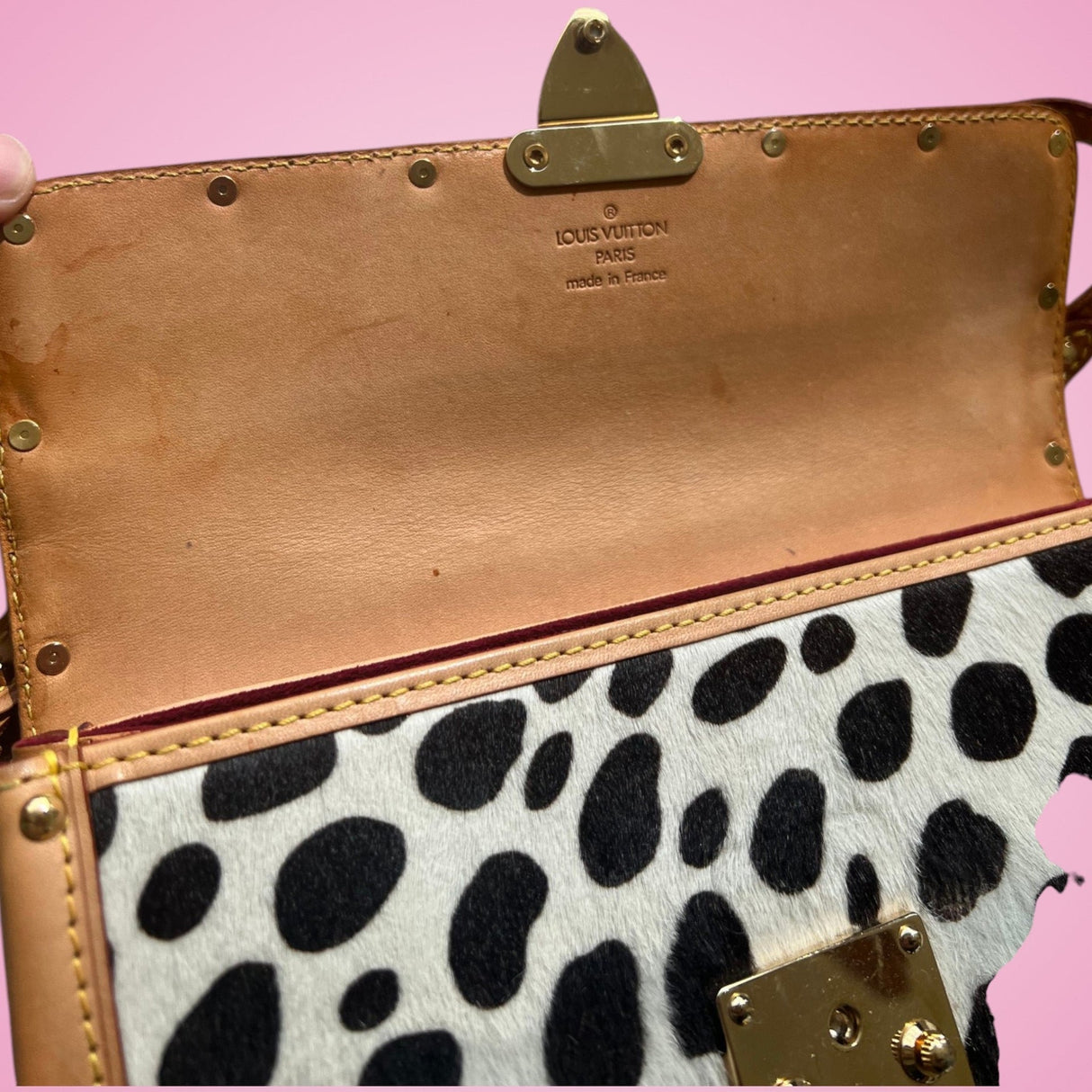 Louis Vuitton Dalmation Pochette