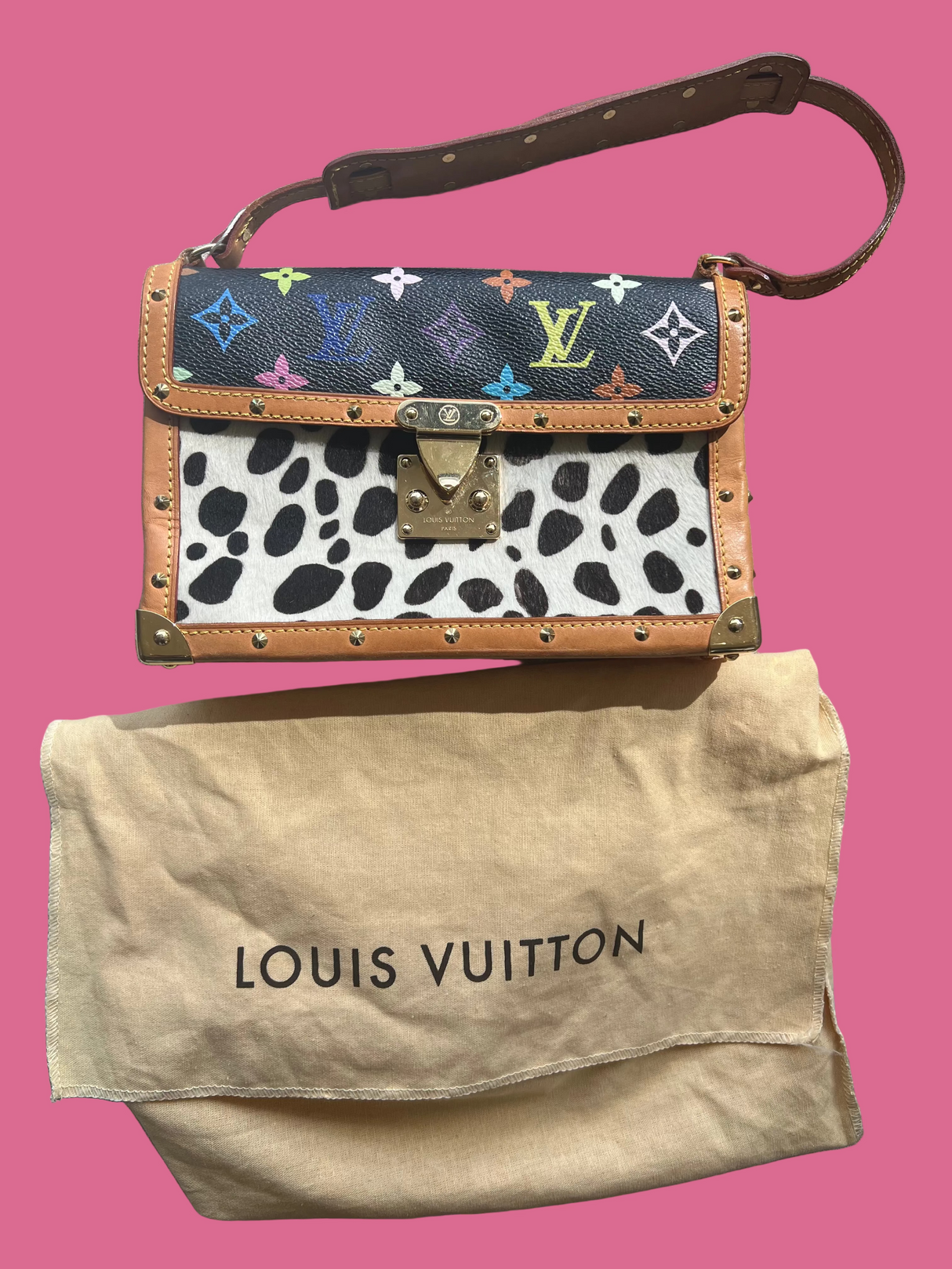 Louis Vuitton Dalmation Pochette