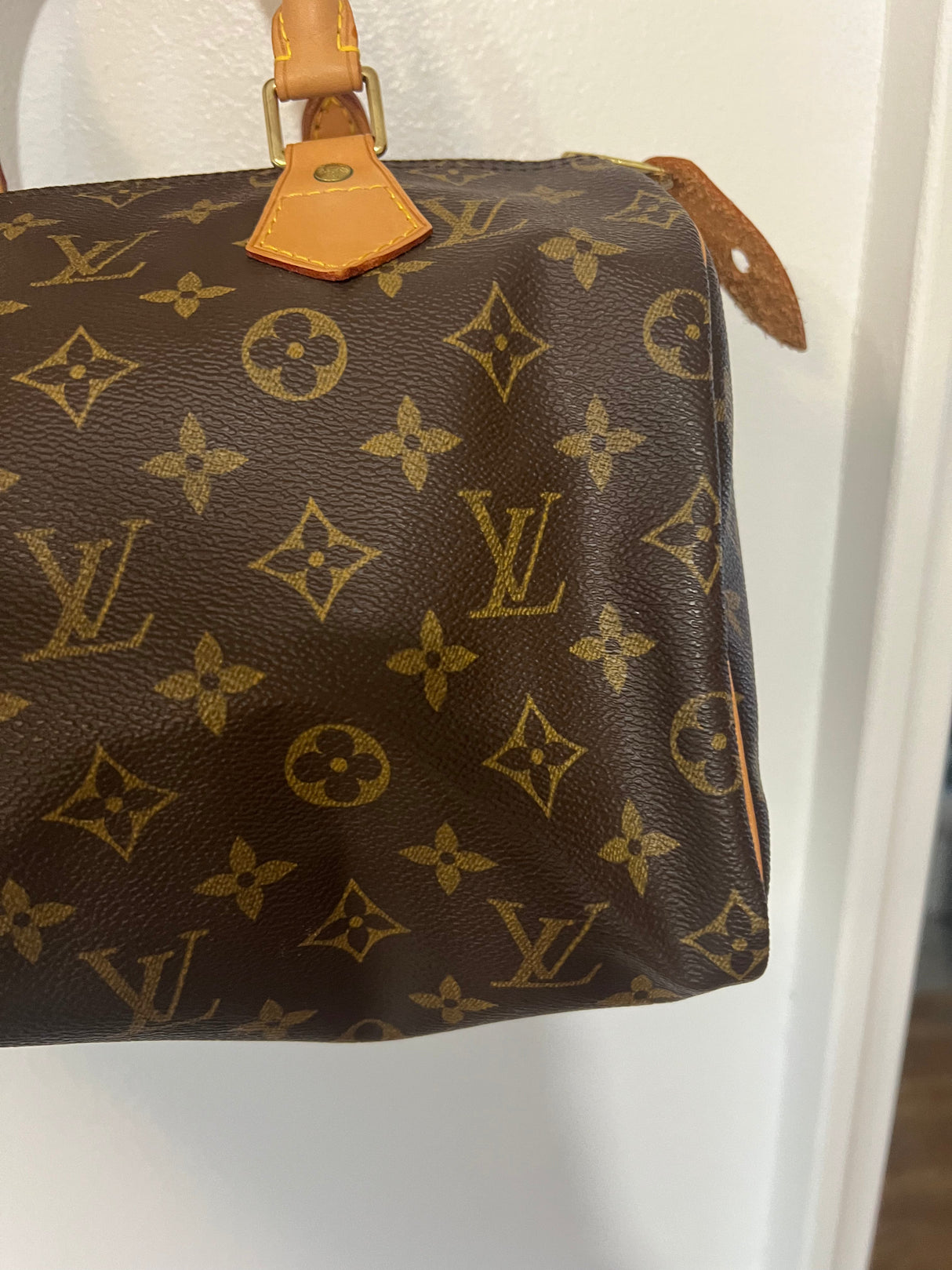 Louis Vuitton Monogram Speedy 25