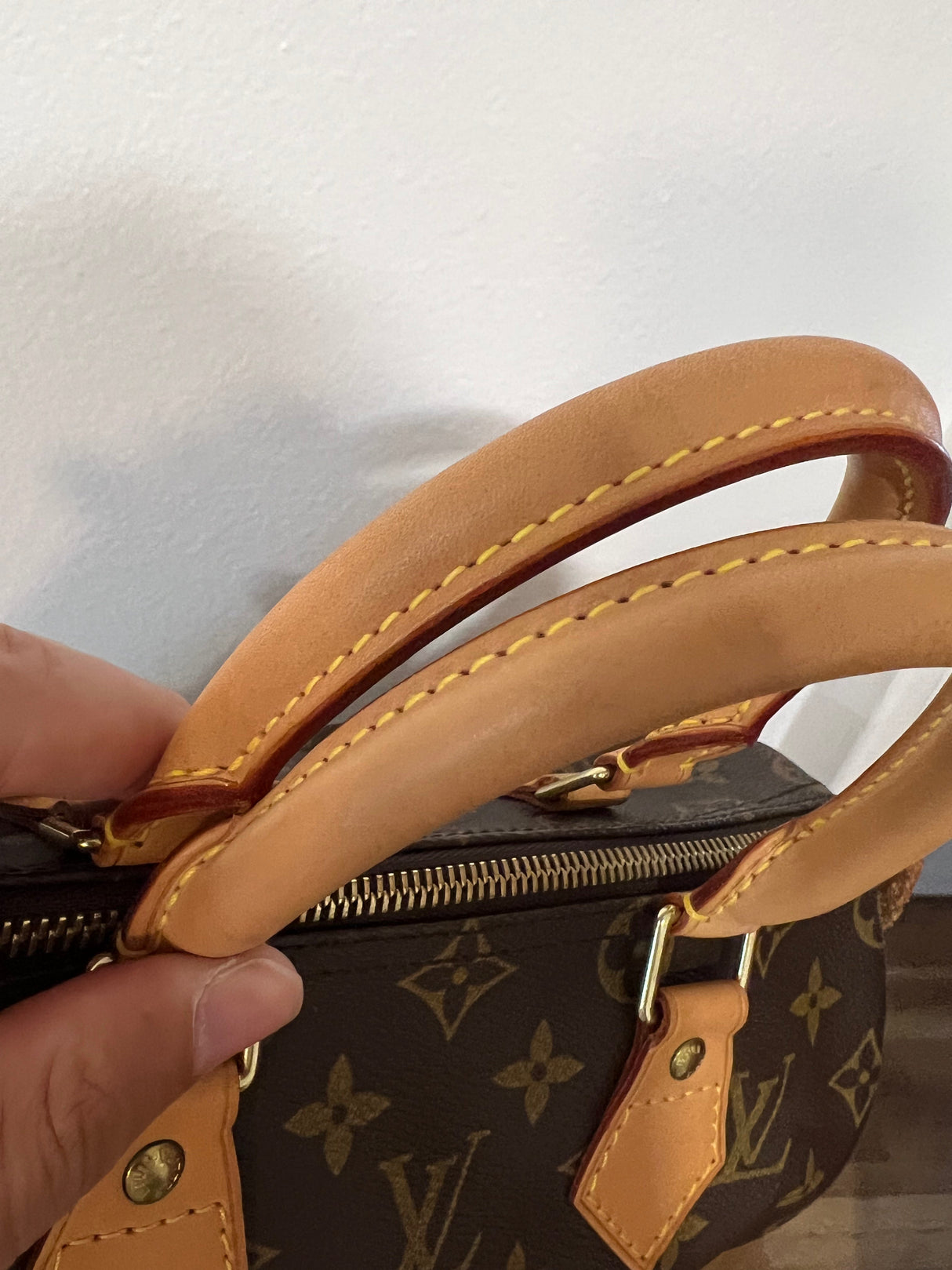 Louis Vuitton Monogram Speedy 25