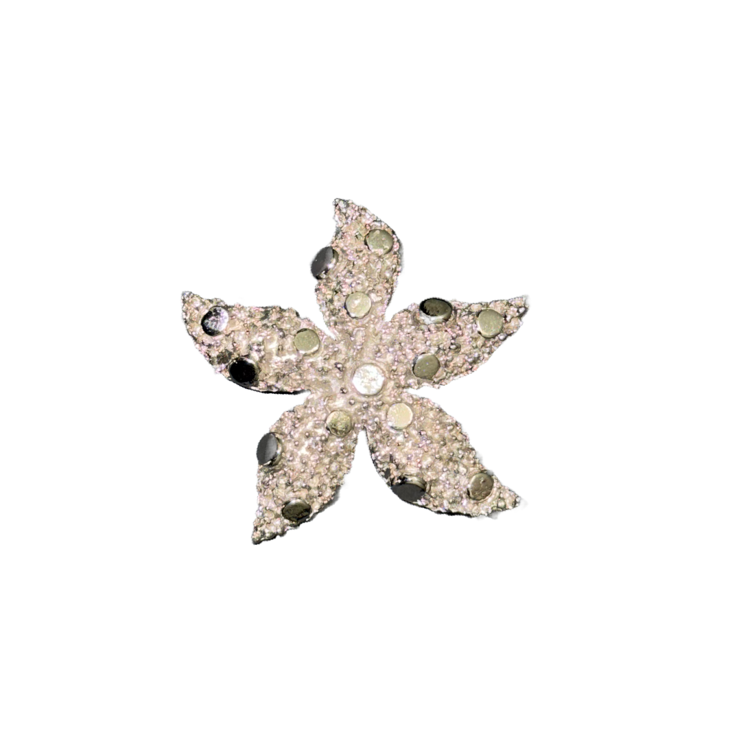 Silver Textured Starfish Pin
