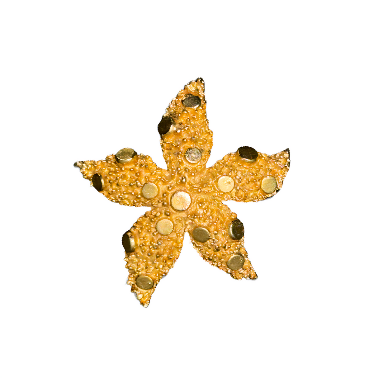 Gold Textured Starfish Pin
