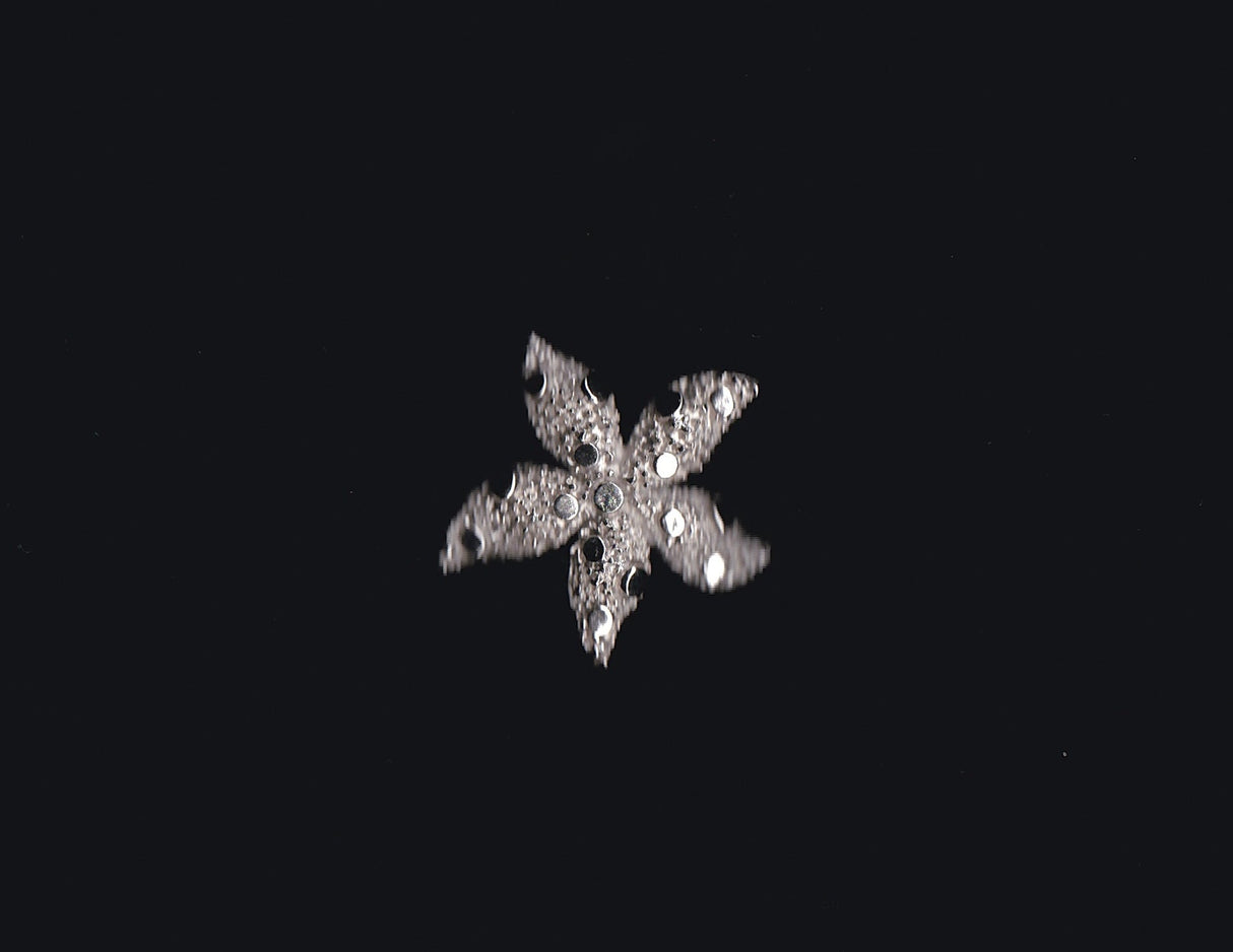 Silver Textured Starfish Pin