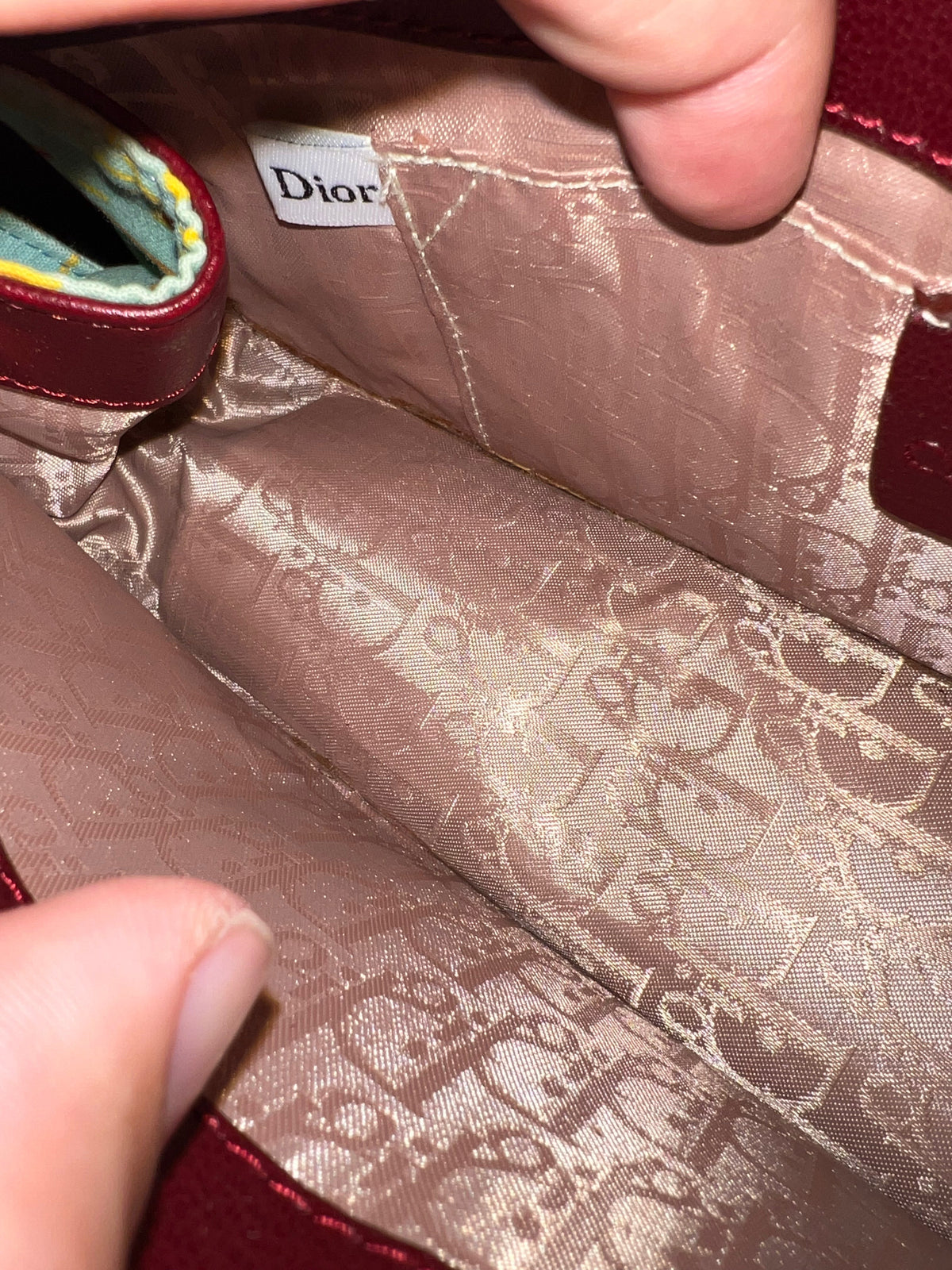 Christian Dior by John Galliano Paisley Canvas Shoulder Bag