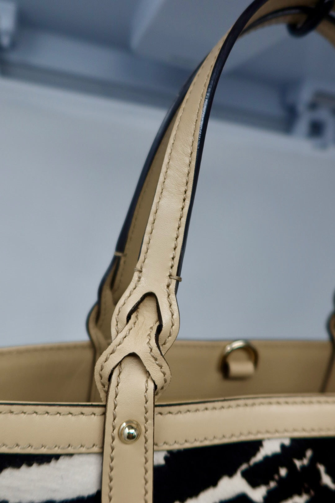 Gucci Calf Leather Tote Bag Zebra Pattern (Copy)