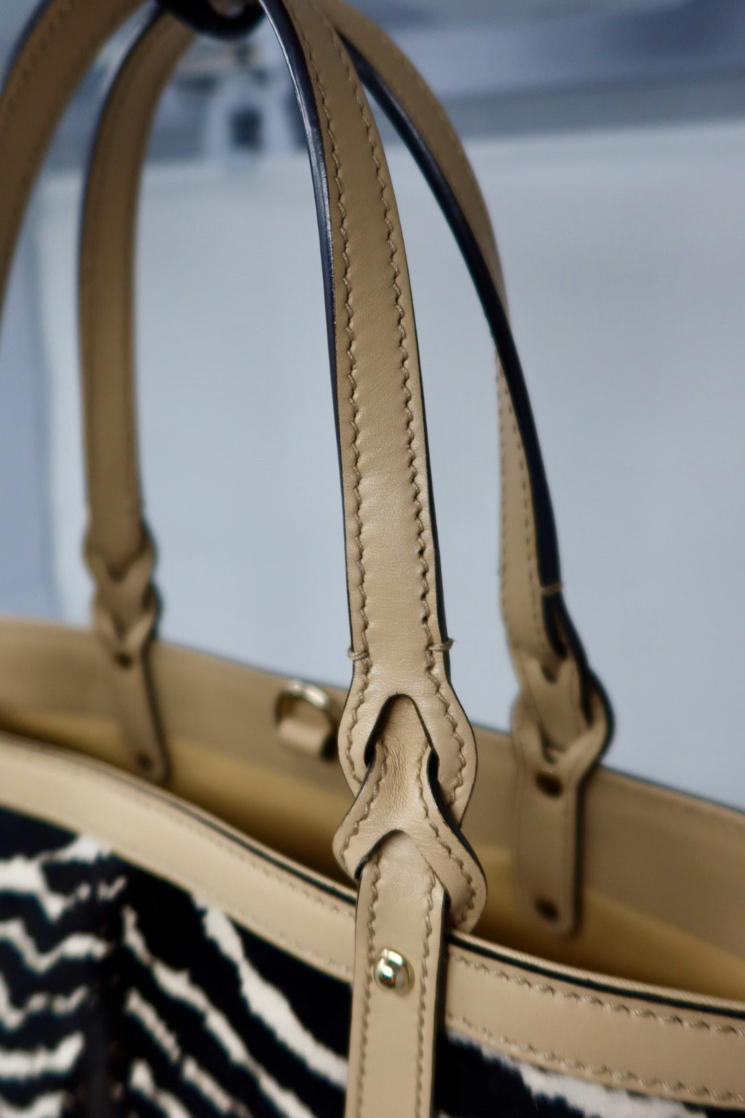 Gucci Calf Leather Tote Bag Zebra Pattern (Copy)