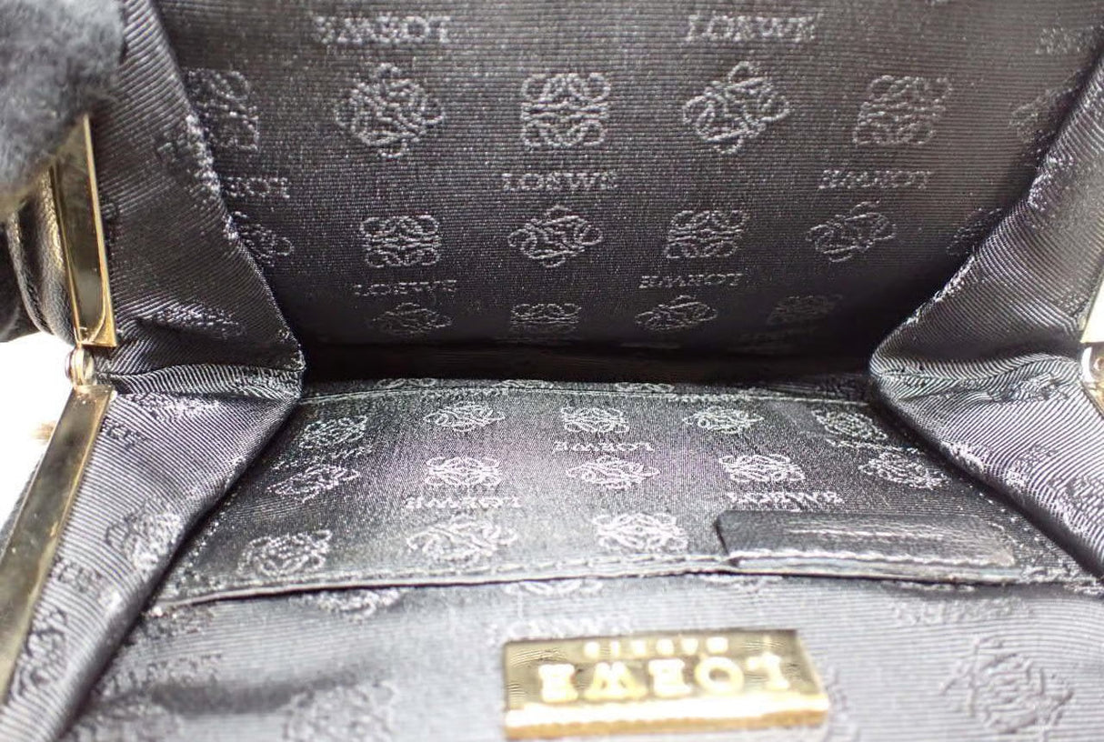 LOEWE Tiger Print Calf Hair Vanity Shoulder Bag