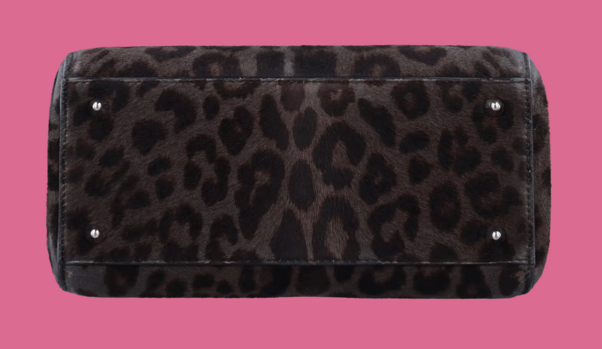 Dior Lady Pony Hair Leopard Print Handbag