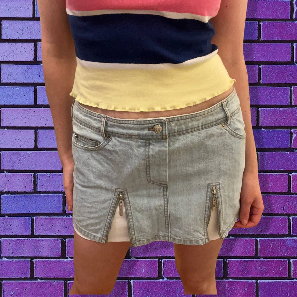 2004 Dior Mini Skirt