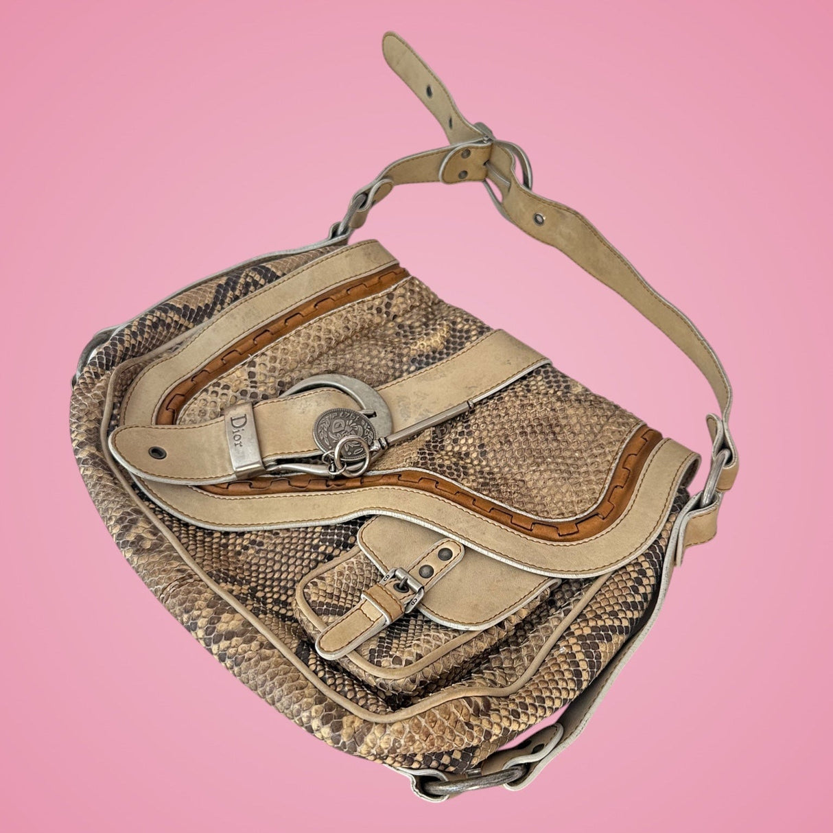 Dior Python Gaucho Bag