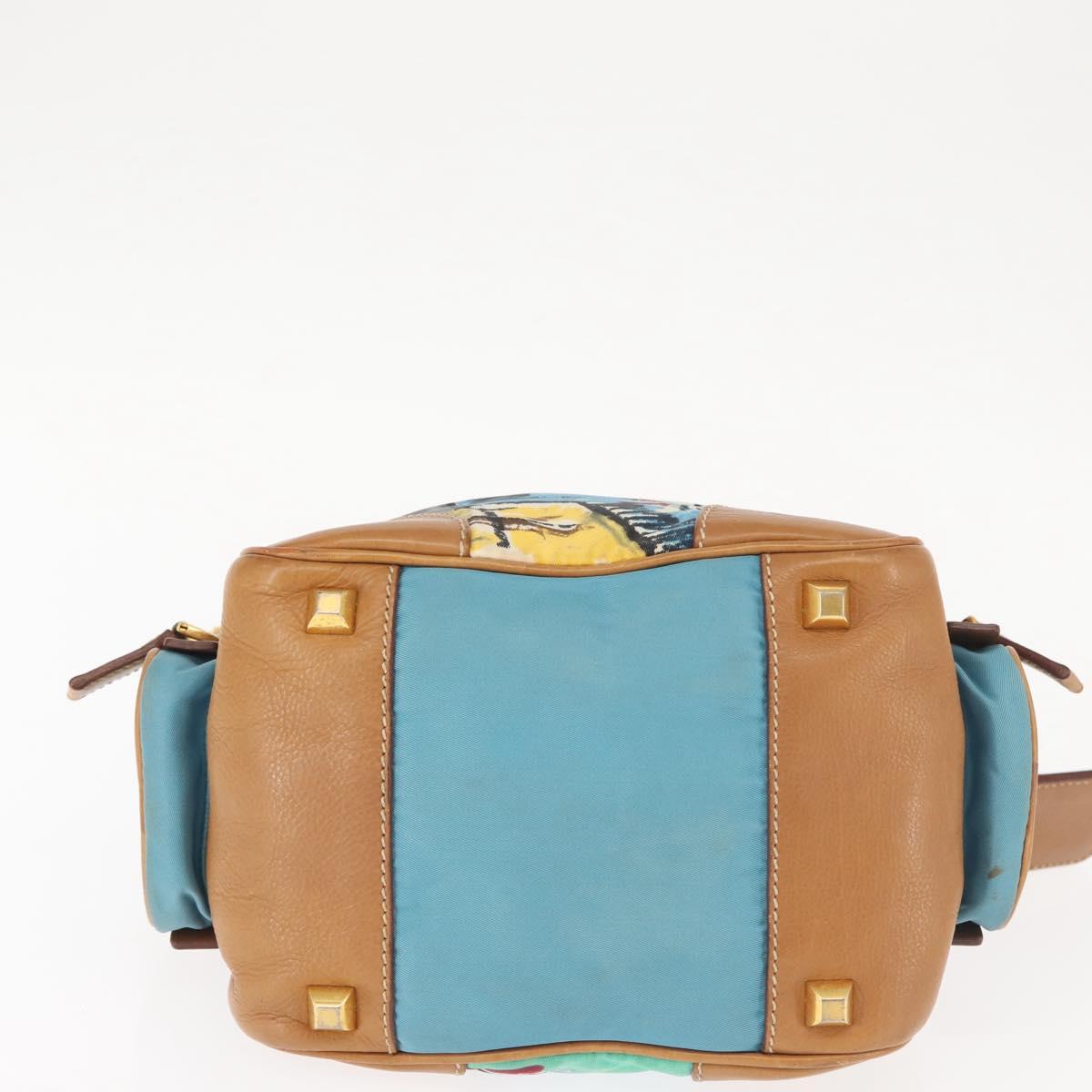 Prada Printed Canvas