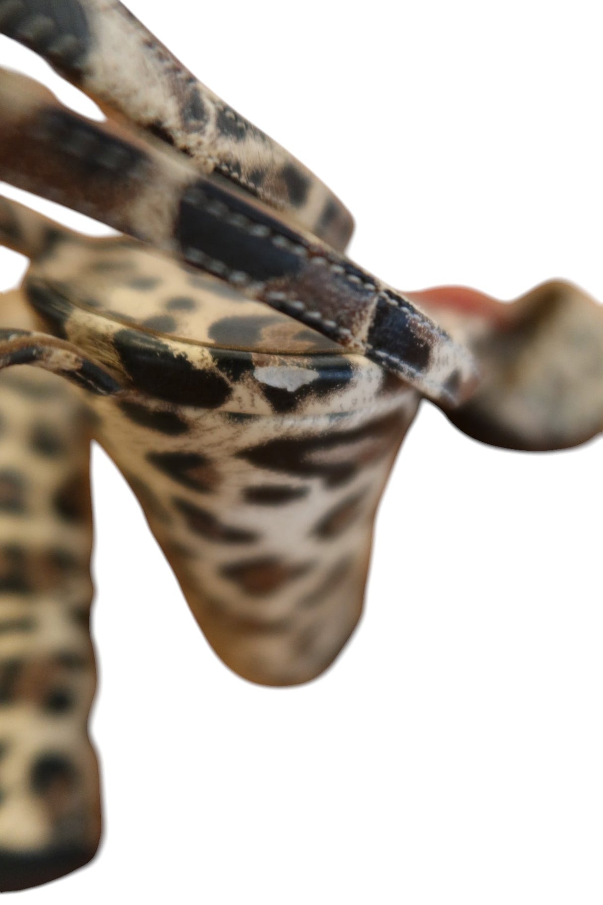 Dolce & Gabbana leopard heels with rose detail (38)