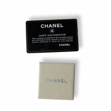 Chanel Precious Jewel Edition Classic Flap