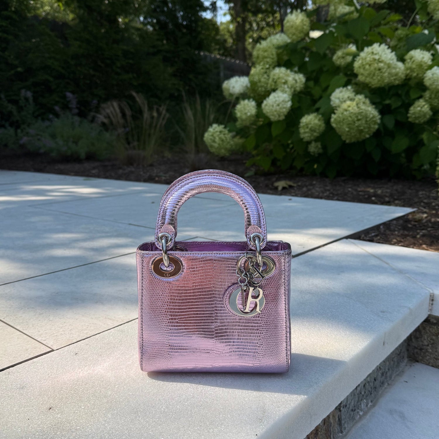 Christian Dior Lady Metallic Lizard Skin Mini authentic attachable crossbody strap