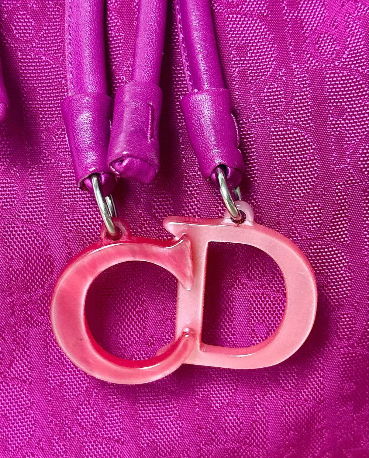 Dior Lovely Trotter Tote