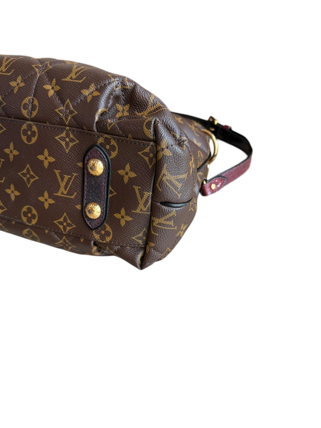 Louis Vuitton Etoile monogram exotique bag