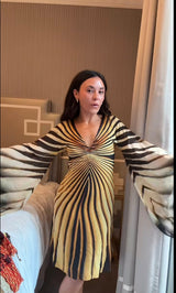 Roberto Cavalli Vintage F/W 2000 Era Zebra Radiating Stripe Silk Dress