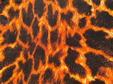 JUST CAVALLI Orange & Black Animal Print 3/4 Sleeve Top