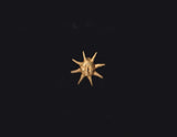 Gold Matte Sun Smiling Pin