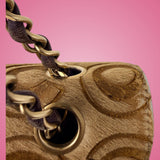 Chanel Coco Pony Hair Flap Bag