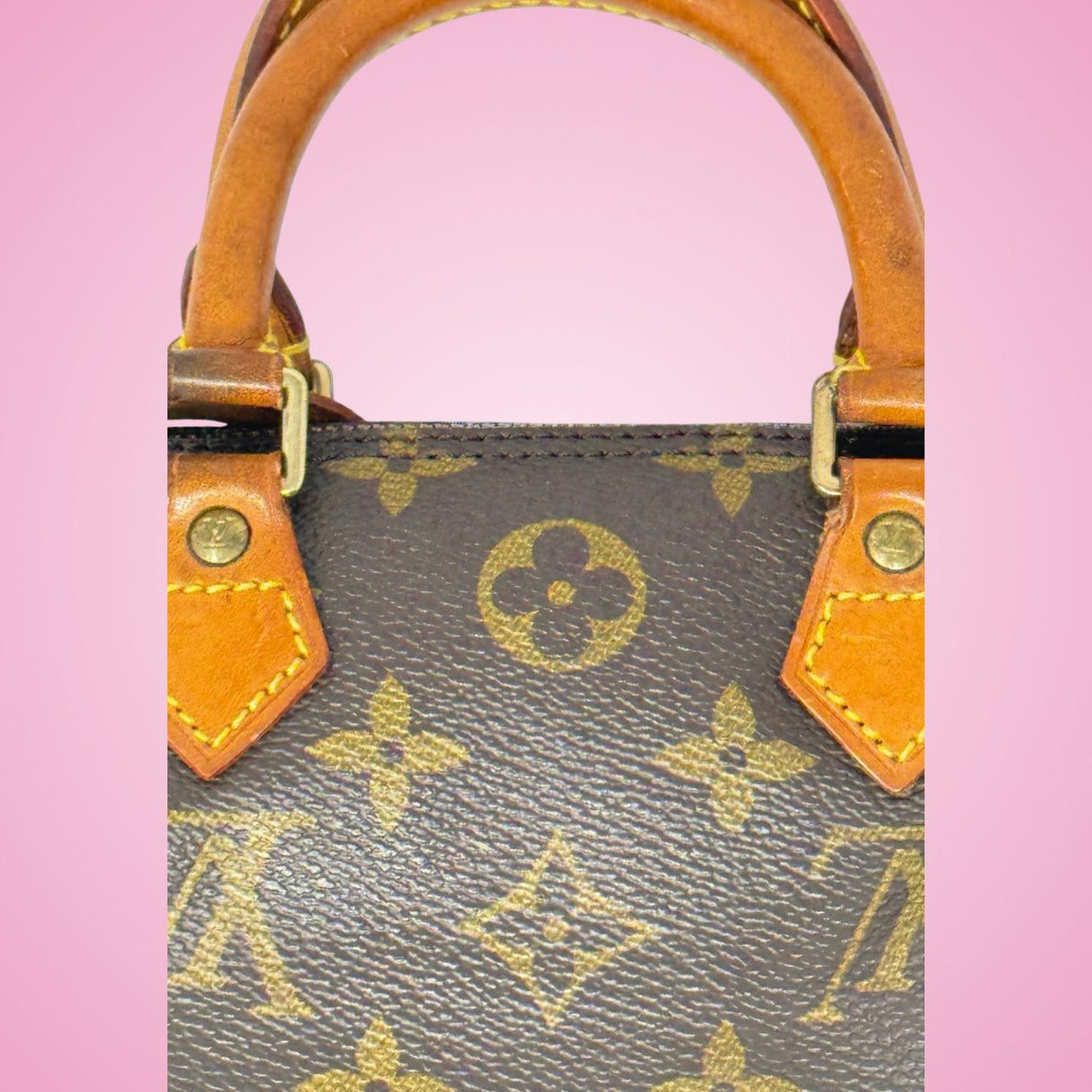 Louis Vuitton Mini Speedy