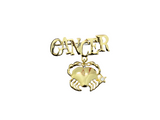 Gold Horoscope 'CANCER' Pin