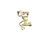 Gold Horoscope 'LEO' Pin