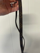 Louis Vuitton Mini Speedy w/ strap