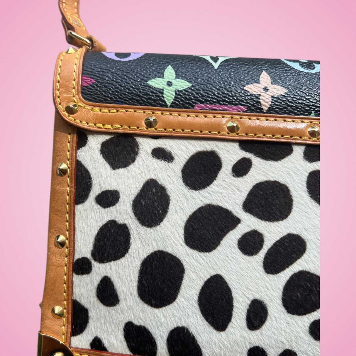 Louis Vuitton Dalmation Pochette