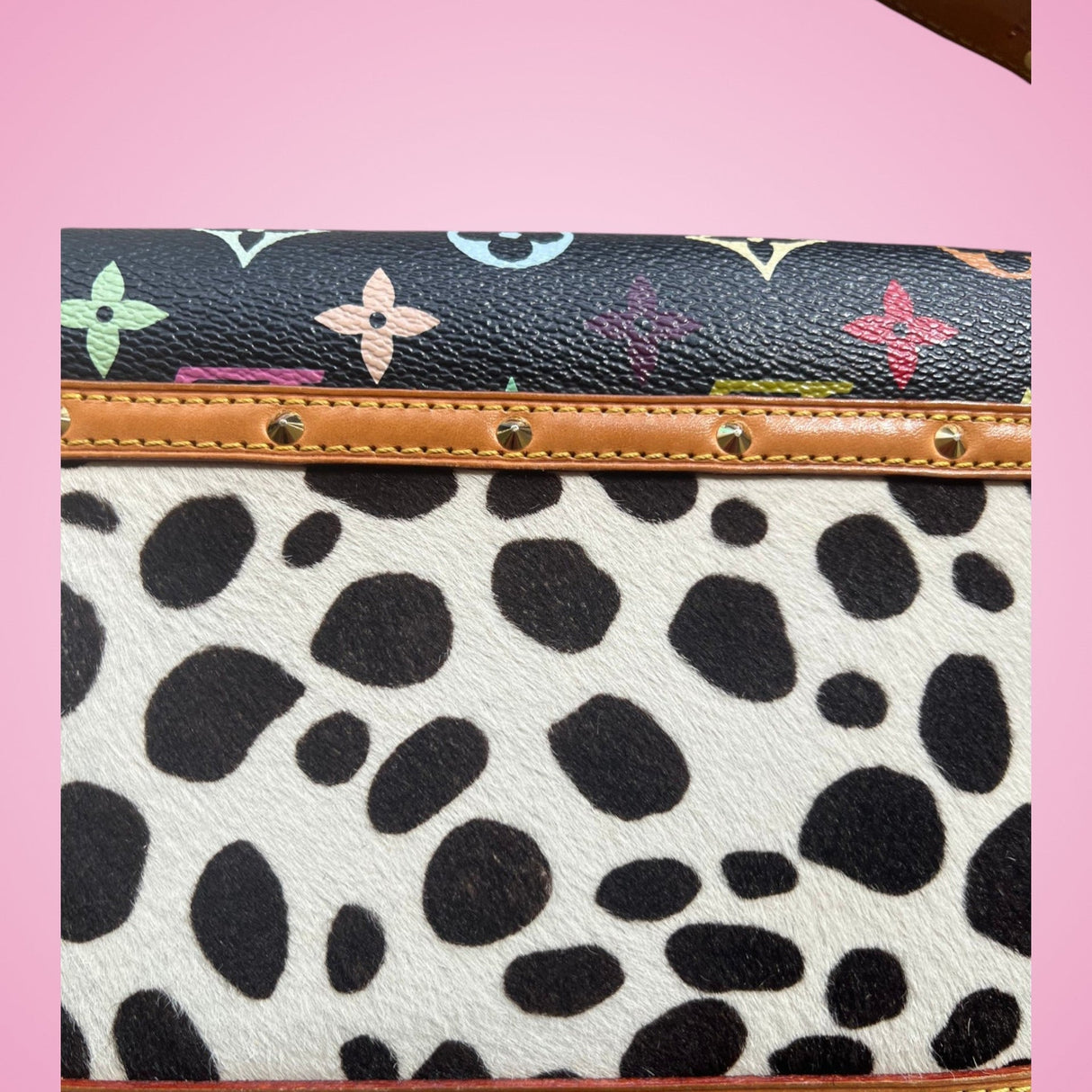 Louis Vuitton Dalmation Pochette