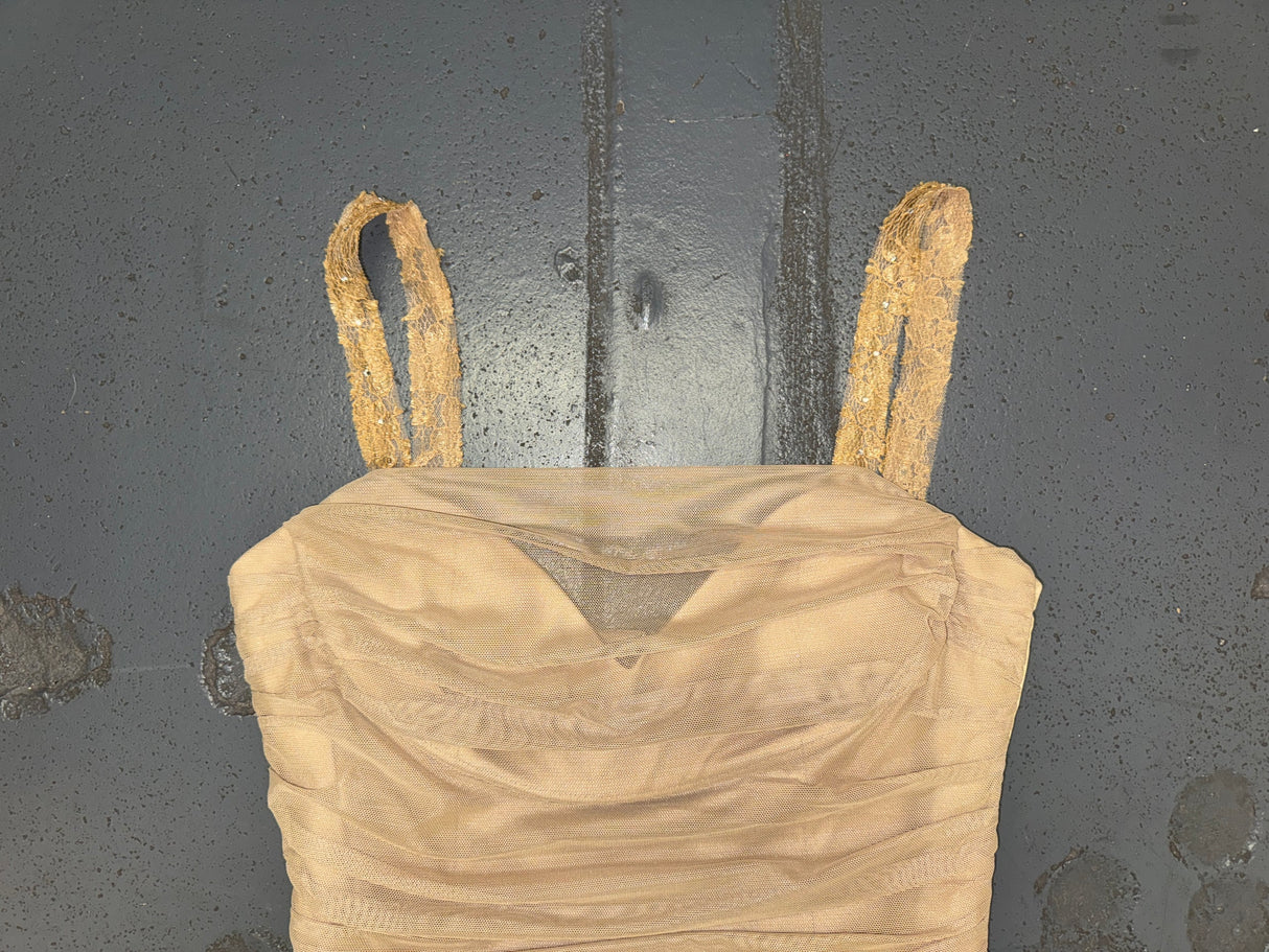 BCBG Beige Mesh Corset Top