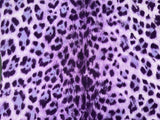 MOSCHINO Purple Leopard Print Cardigan