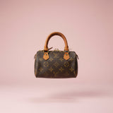 55 Louis Vuitton Mini Speedy
