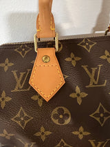 Louis Vuitton Monogram Speedy 25