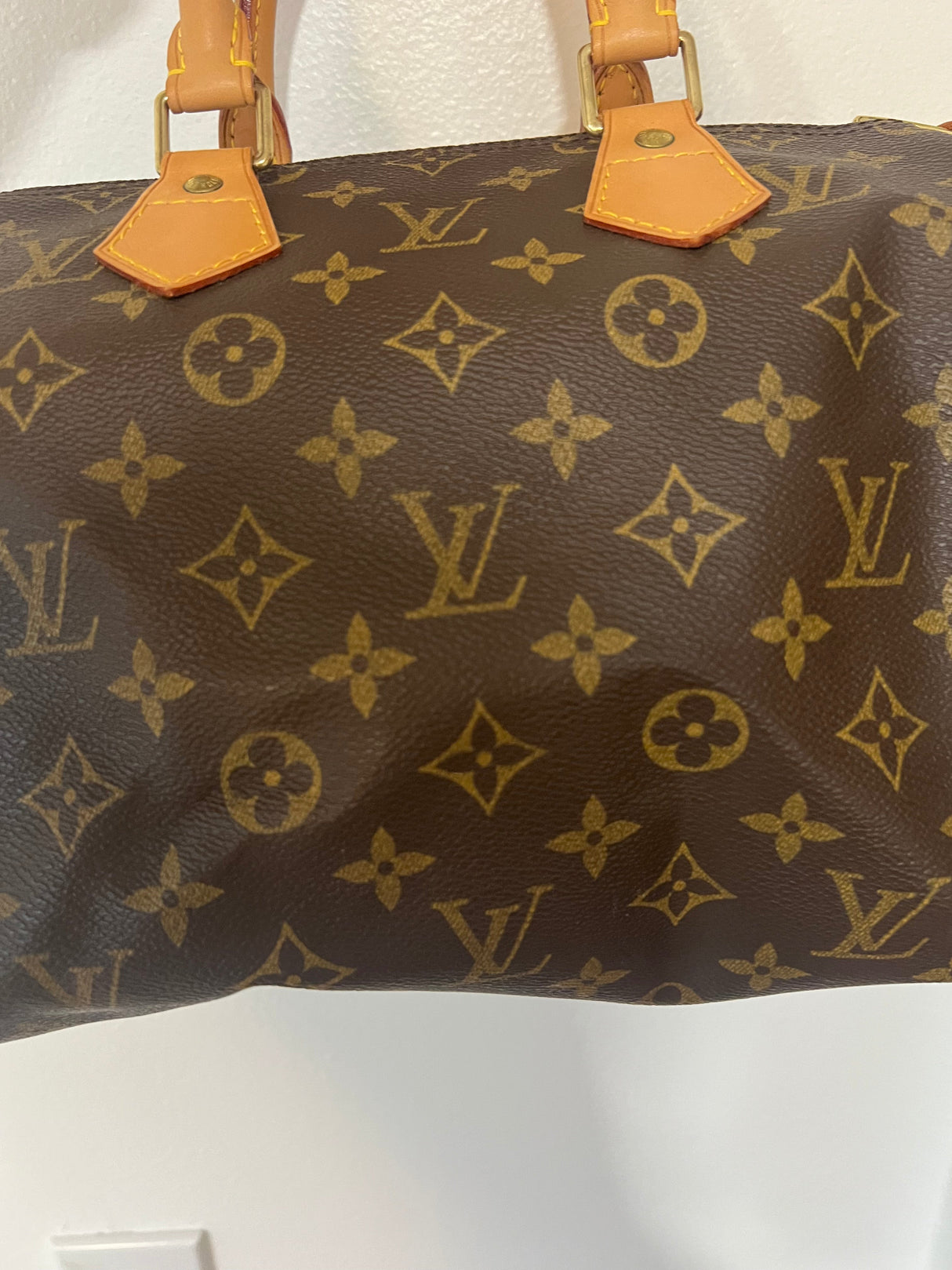 Louis Vuitton Monogram Speedy 25