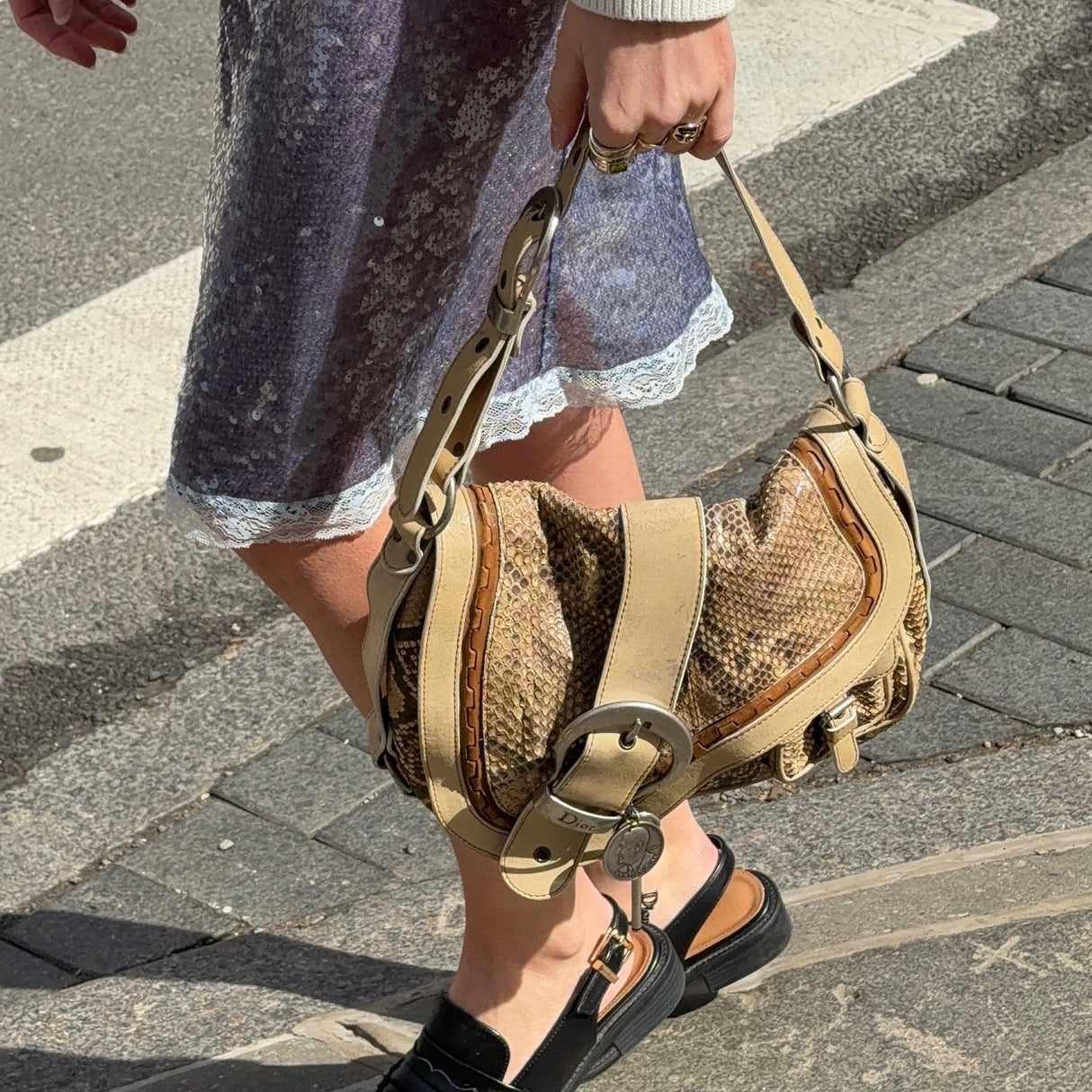 Dior Python Gaucho Bag