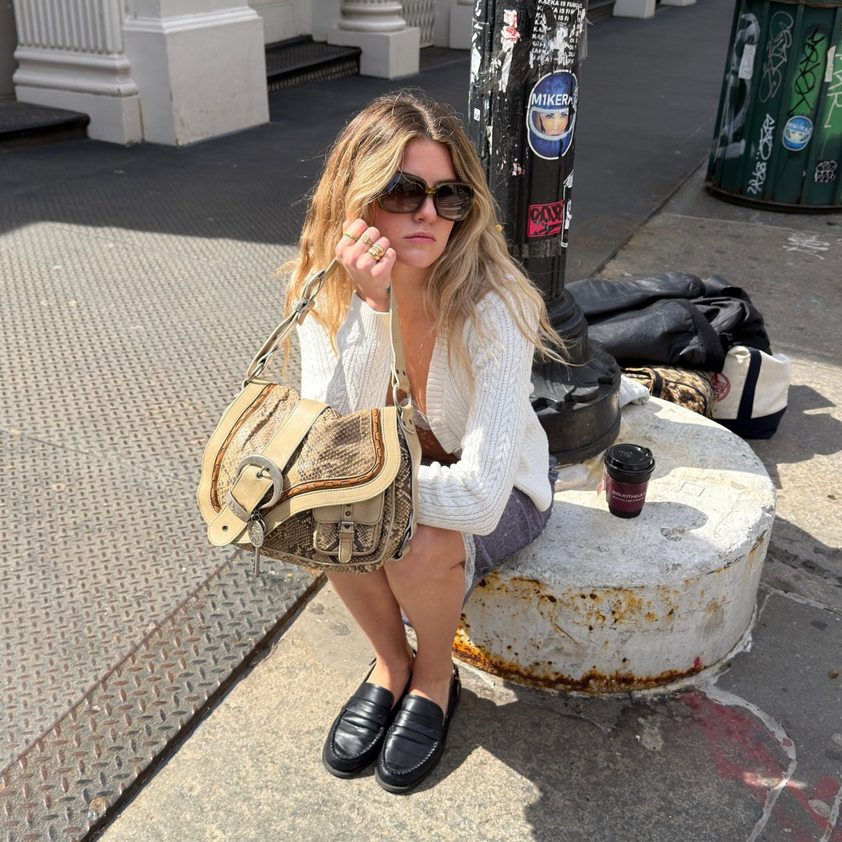 Dior Python Gaucho Bag