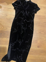 velour Asian inspired dress
